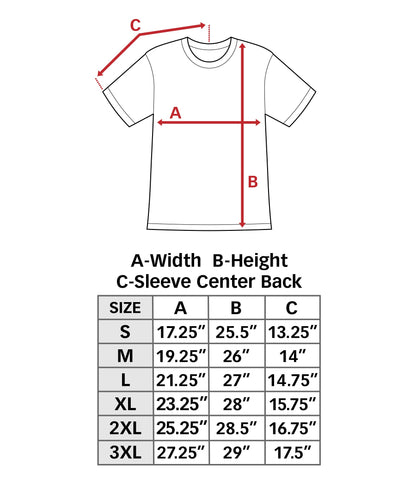 Zeta Phi Beta Sorority Vertical Graphic T Shirt